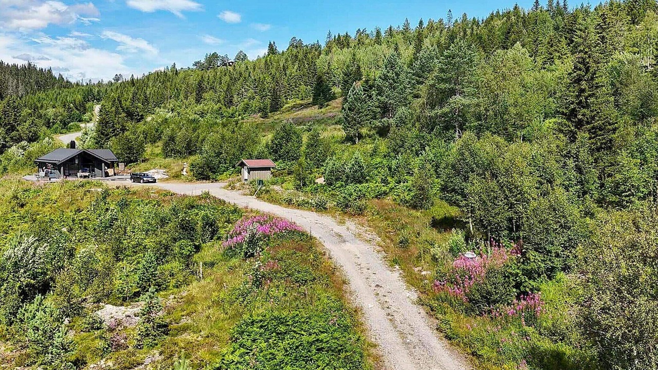 Photo of Outdoor in Lardal Municipality