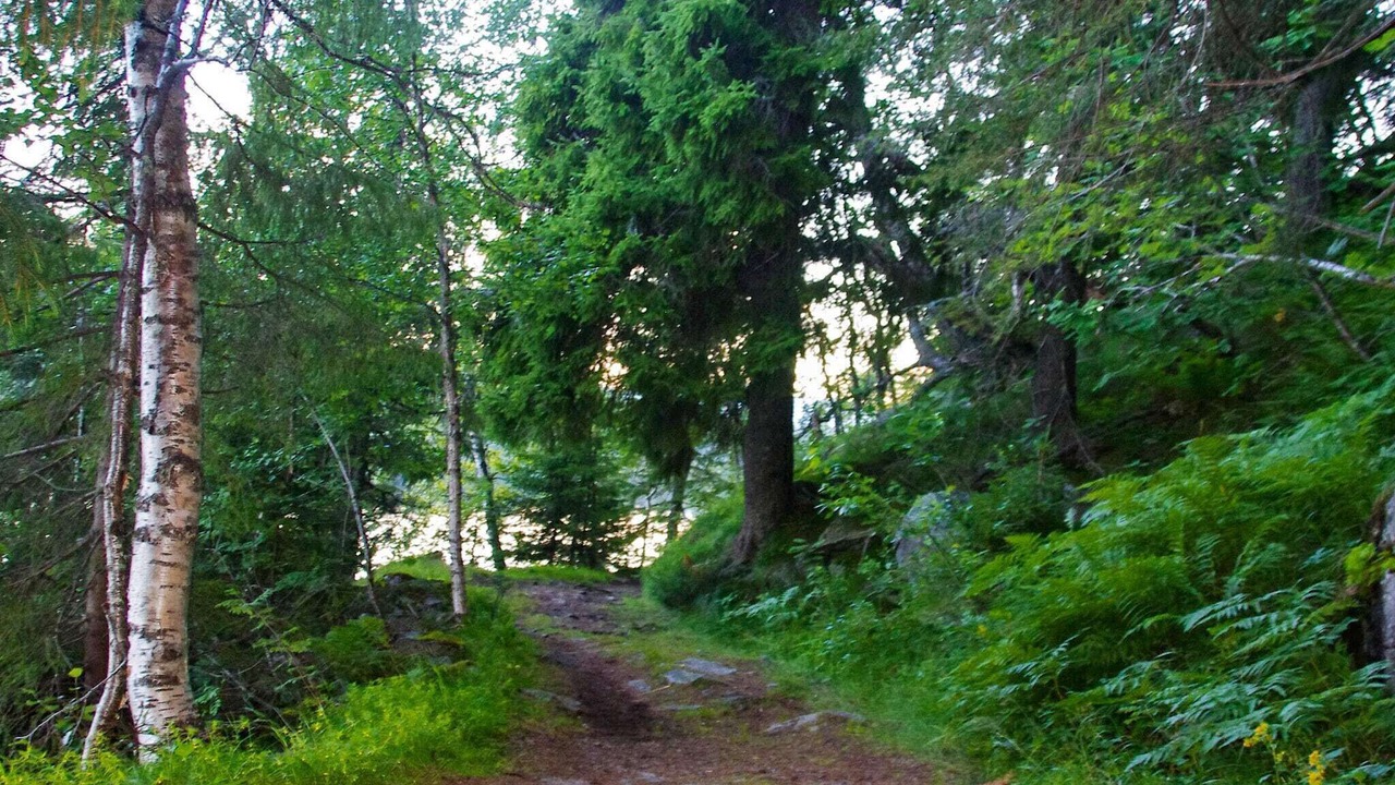 Photo of Others in Lardal Municipality
