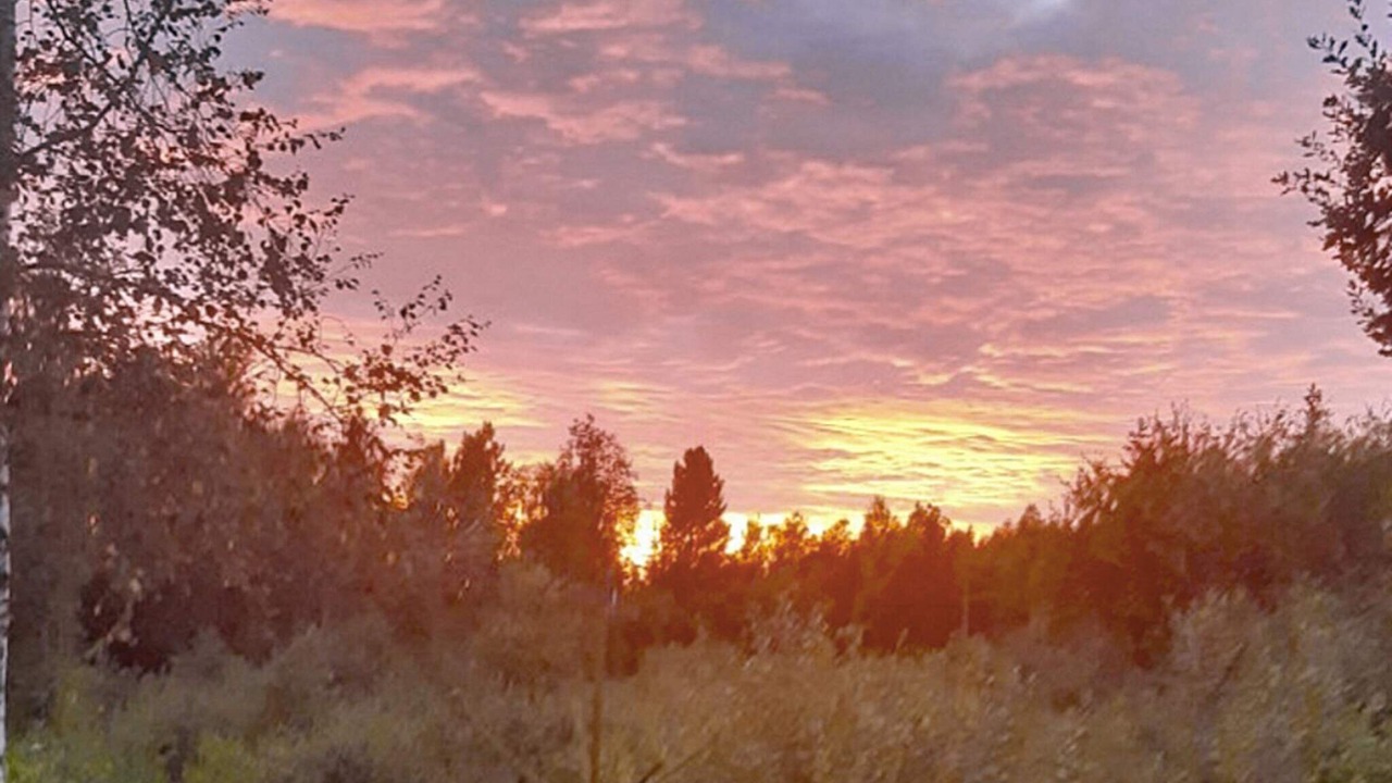 Photo of Outdoor in Holmsjo