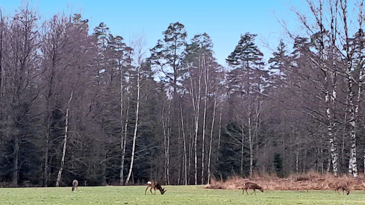 Photo of Others in Karlskoga Municipality