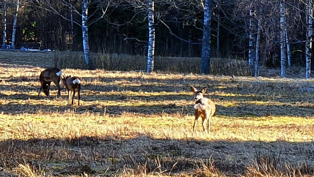 Photo of Others in Karlskoga Municipality