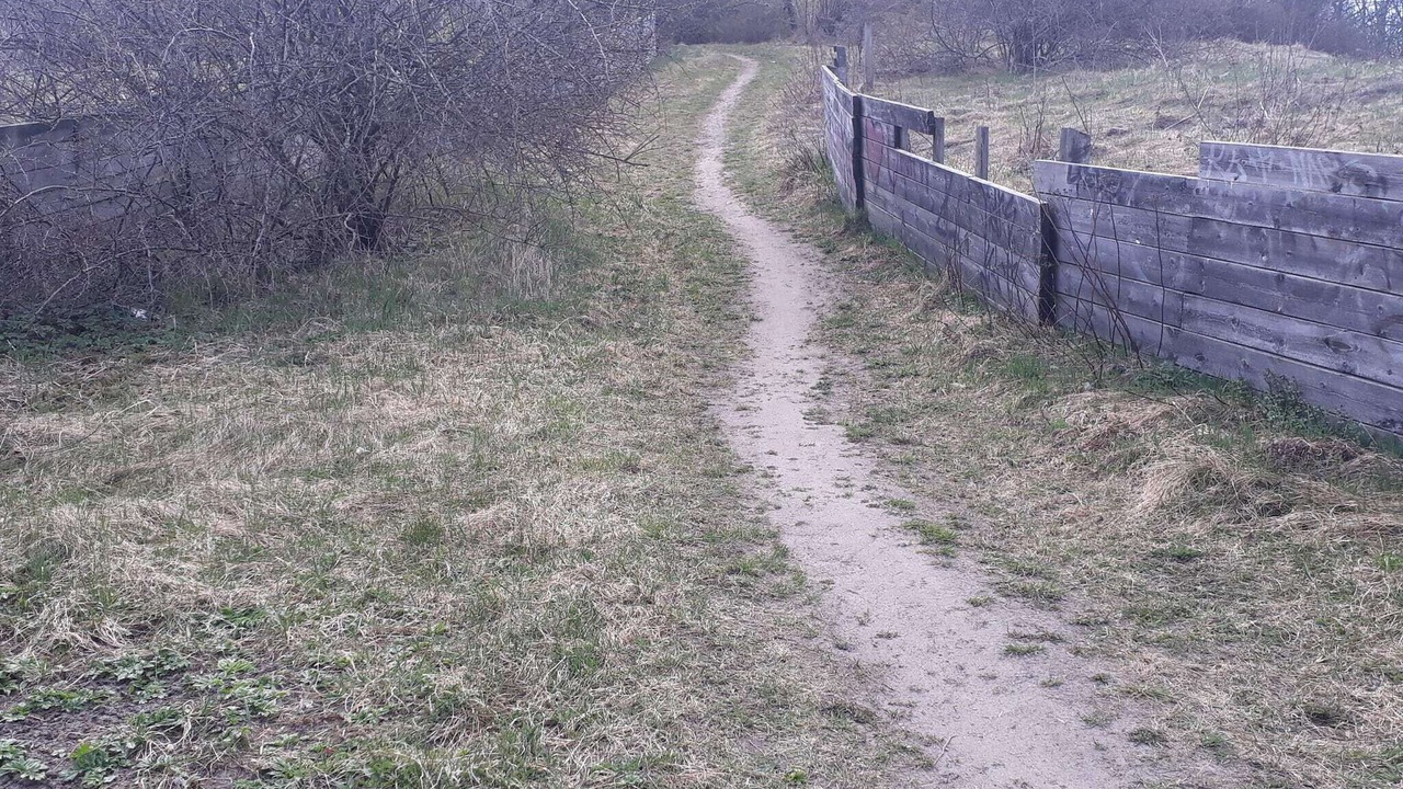 Photo of Others in Fagersjo