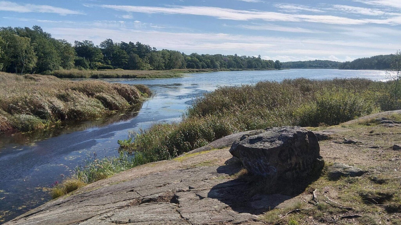 Photo of Others in Fagersjo