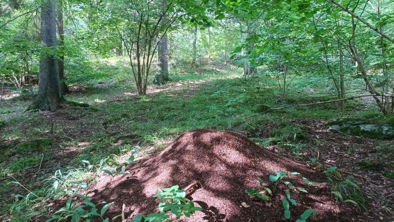 Photo of Others in Fagersjo