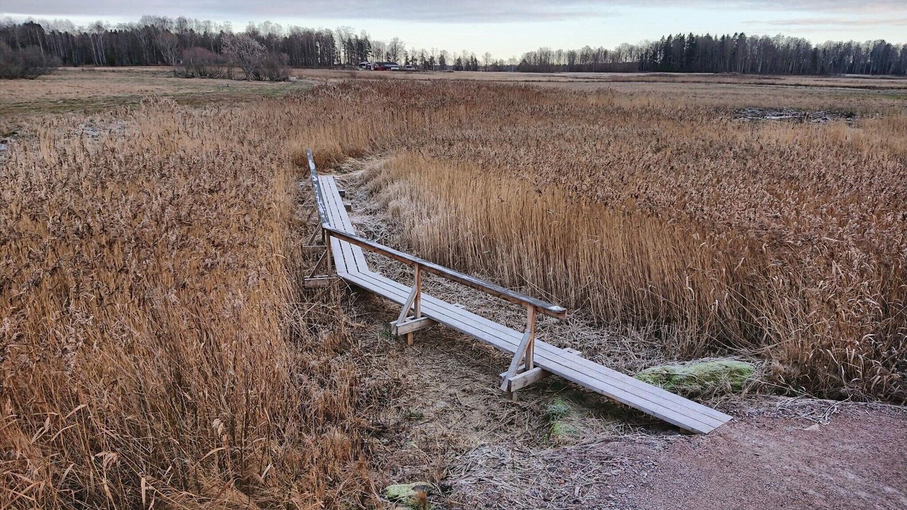 Photo of Others in Hammaro