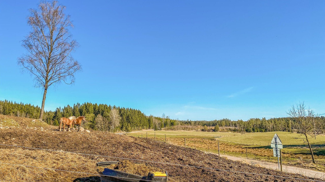 Photo of Others in Simlangsdalen