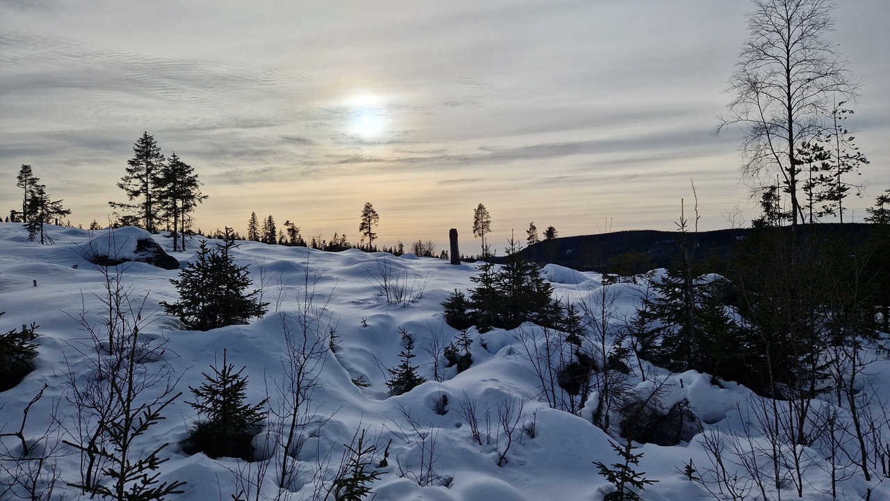 Photo of Outdoor in Ytterhogdal