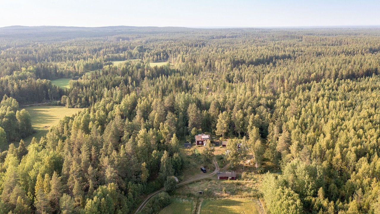 Photo of Outdoor in Osterfarnebo