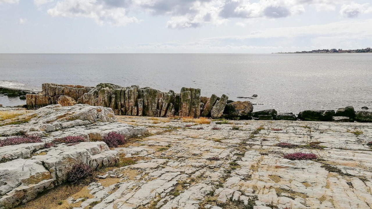 Photo of Others in Simrishamn