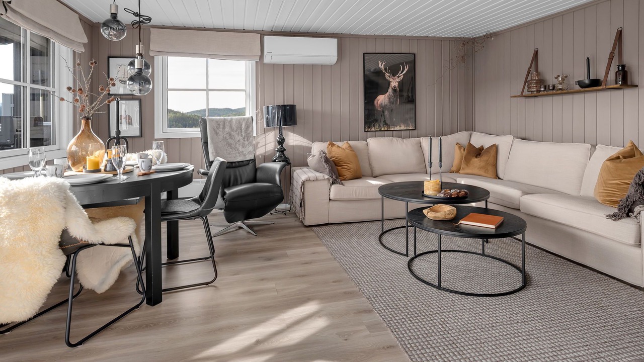 Photo of Livingroom in Aseral