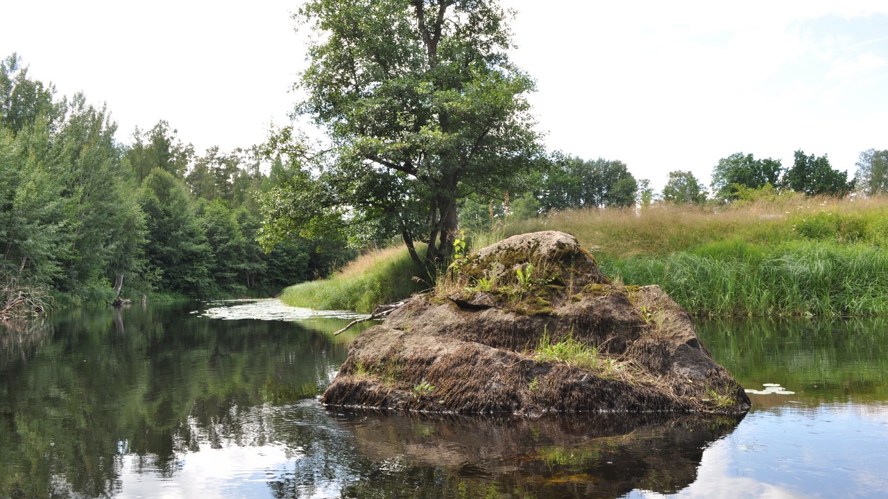 Photo of Others in Jarnforsen