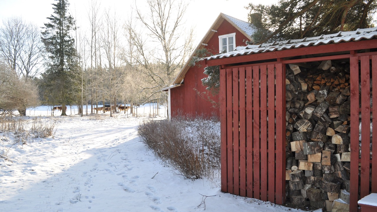 Photo of Outdoor in Jarnforsen