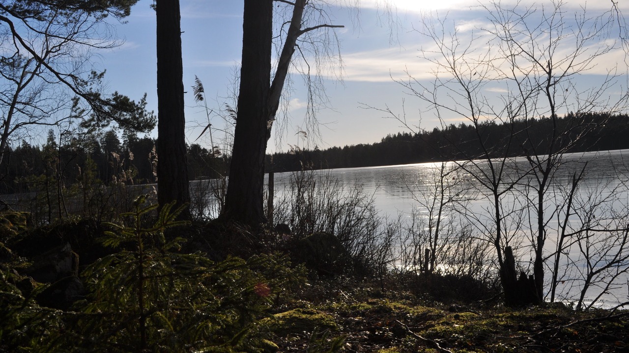 Photo of Outdoor in Jarnforsen