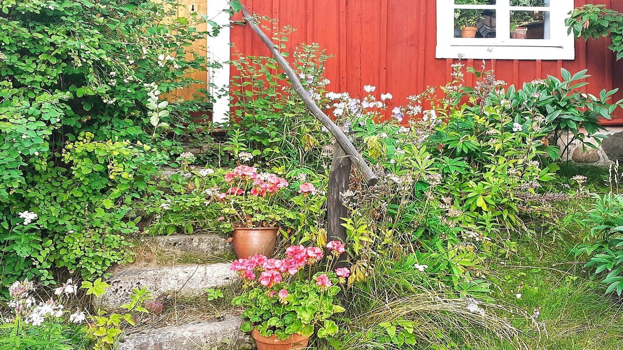 Photo of Outdoor in Mjolby Municipality