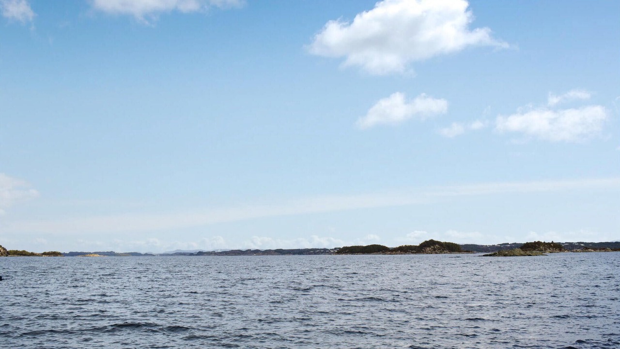 Photo of Others in Selbjorn
