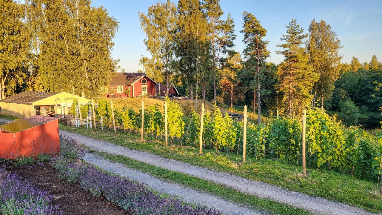 Photo of Others in Ubbalt