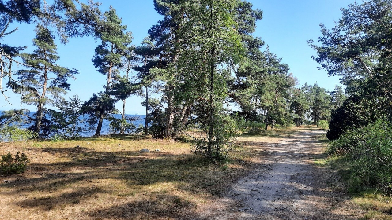 Photo of Outdoor in Germundslycke