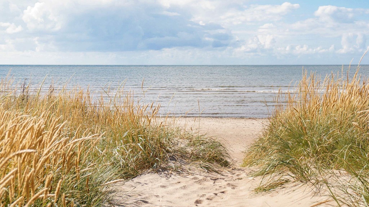 Photo of Others in Falkenberg