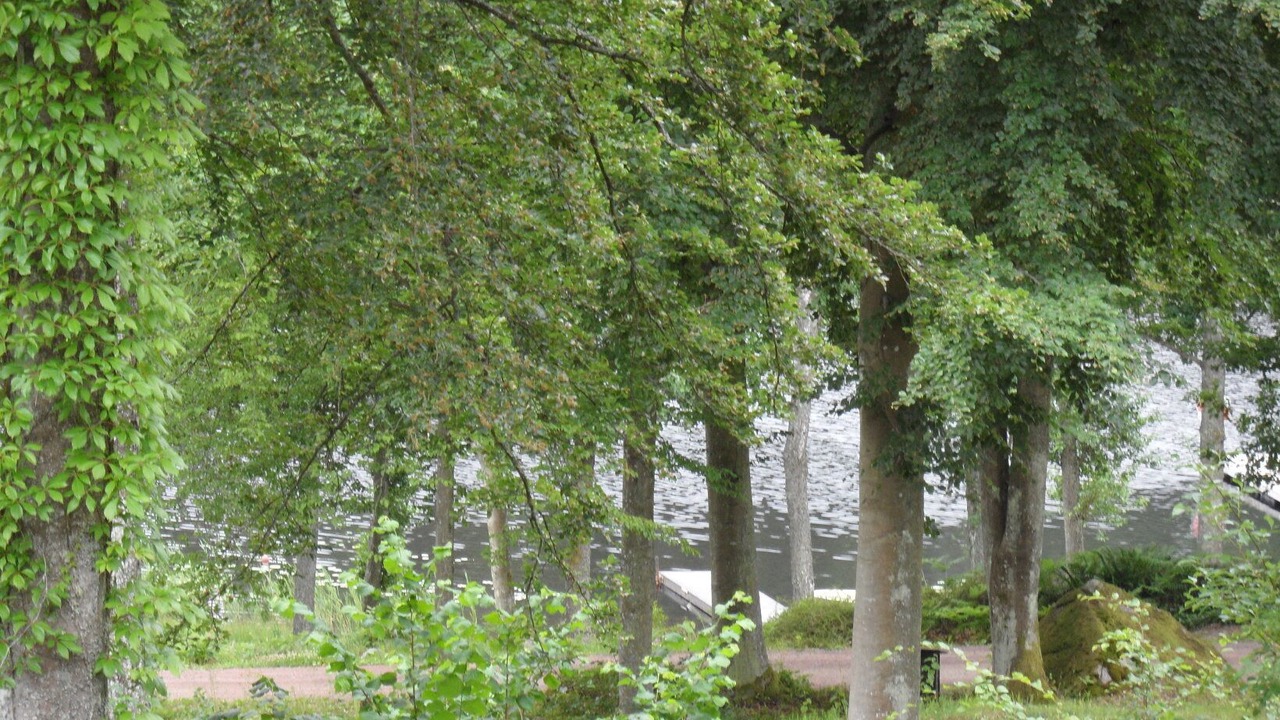 Photo of Others in Arkelstorp