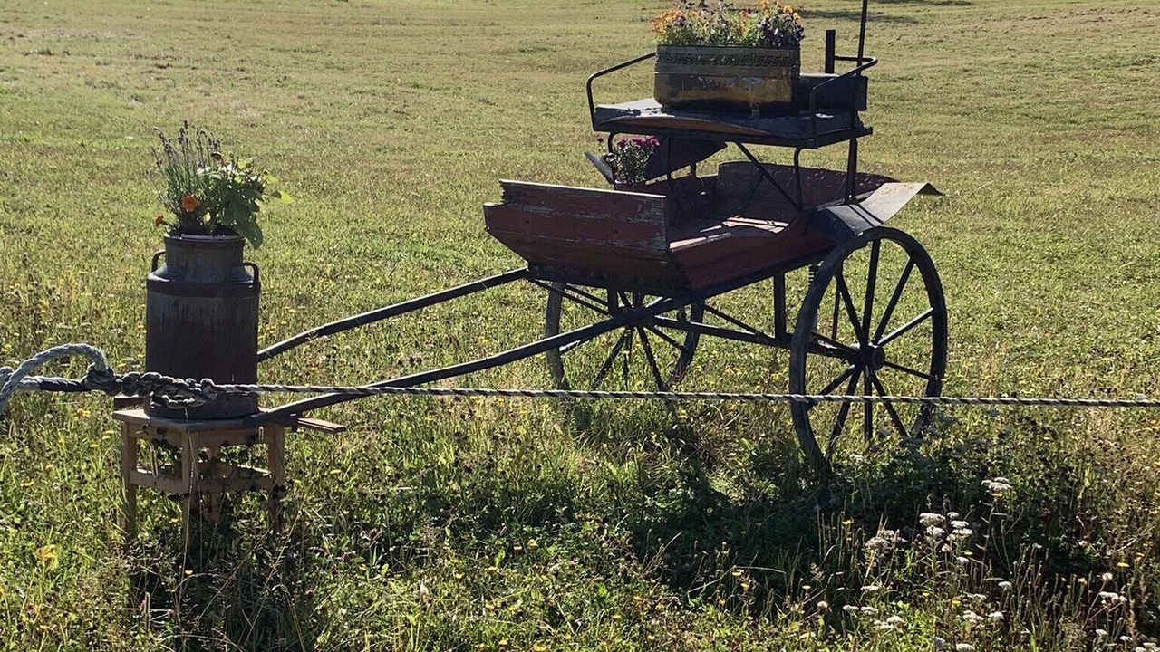 Photo of Others in Molnbo