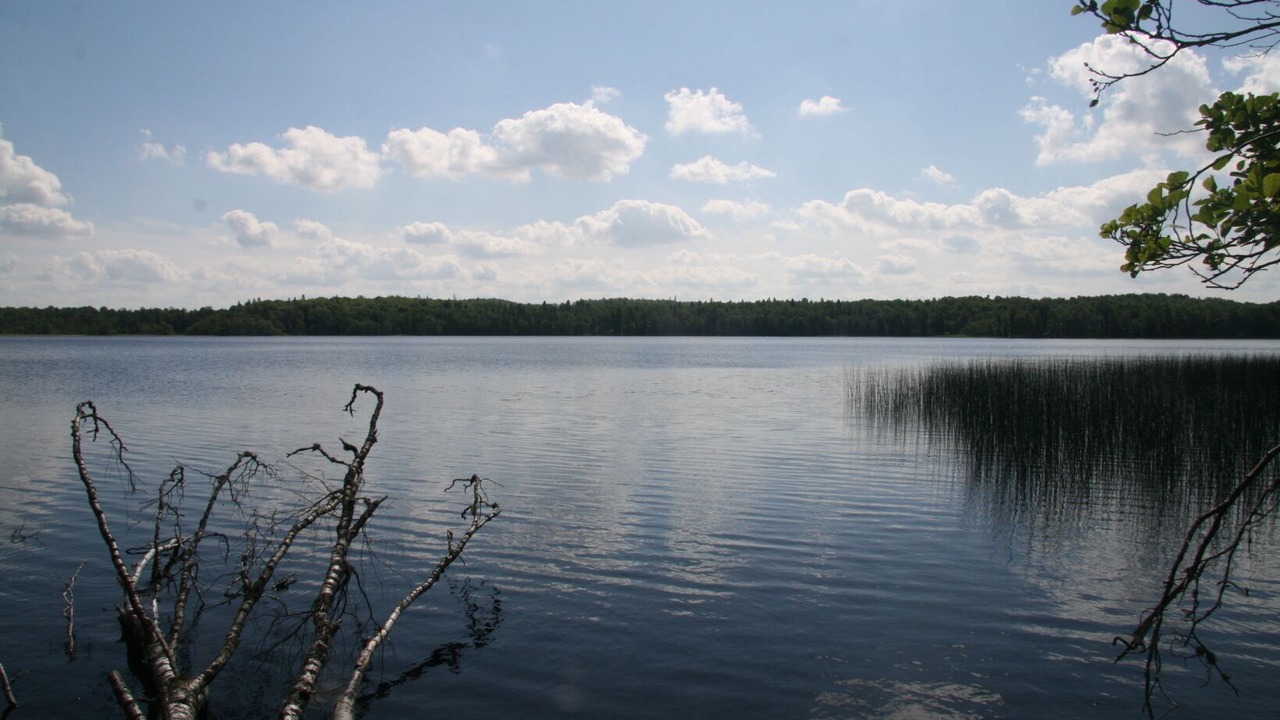 Photo of Outdoor in Forsheda