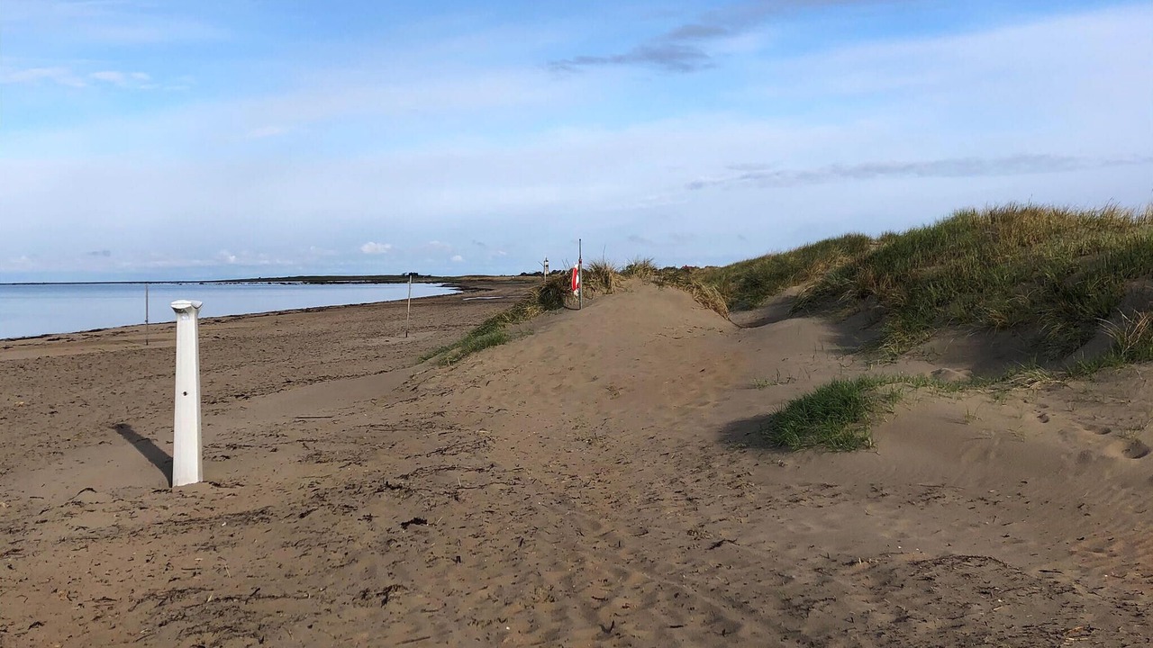 Photo of Others in Falkenberg
