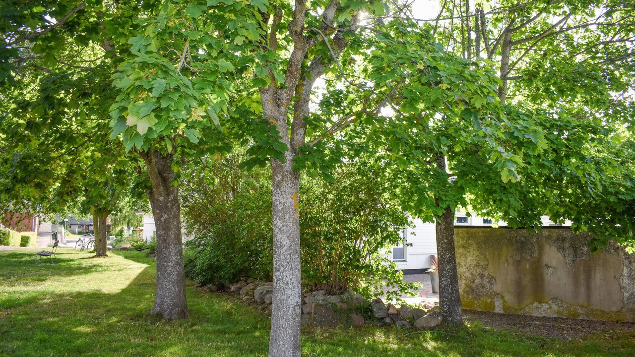 Photo of Others in Borgholm