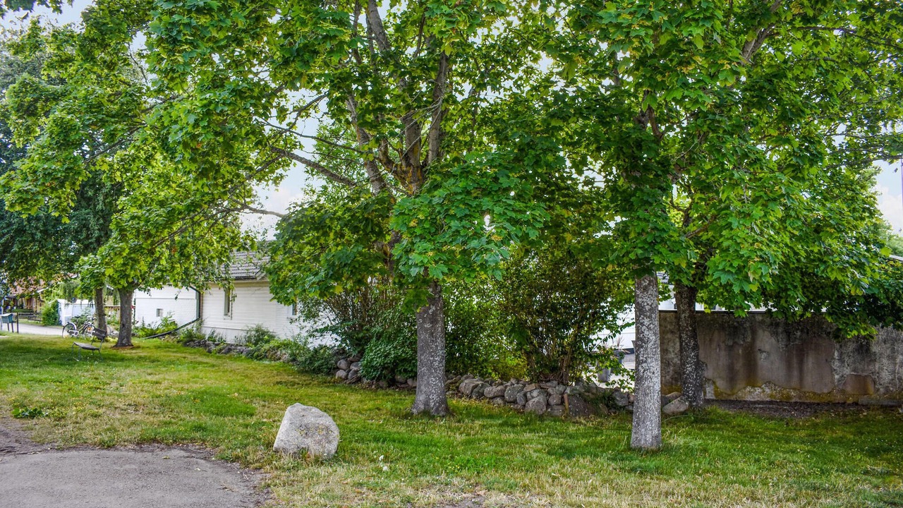 Photo of Others in Borgholm