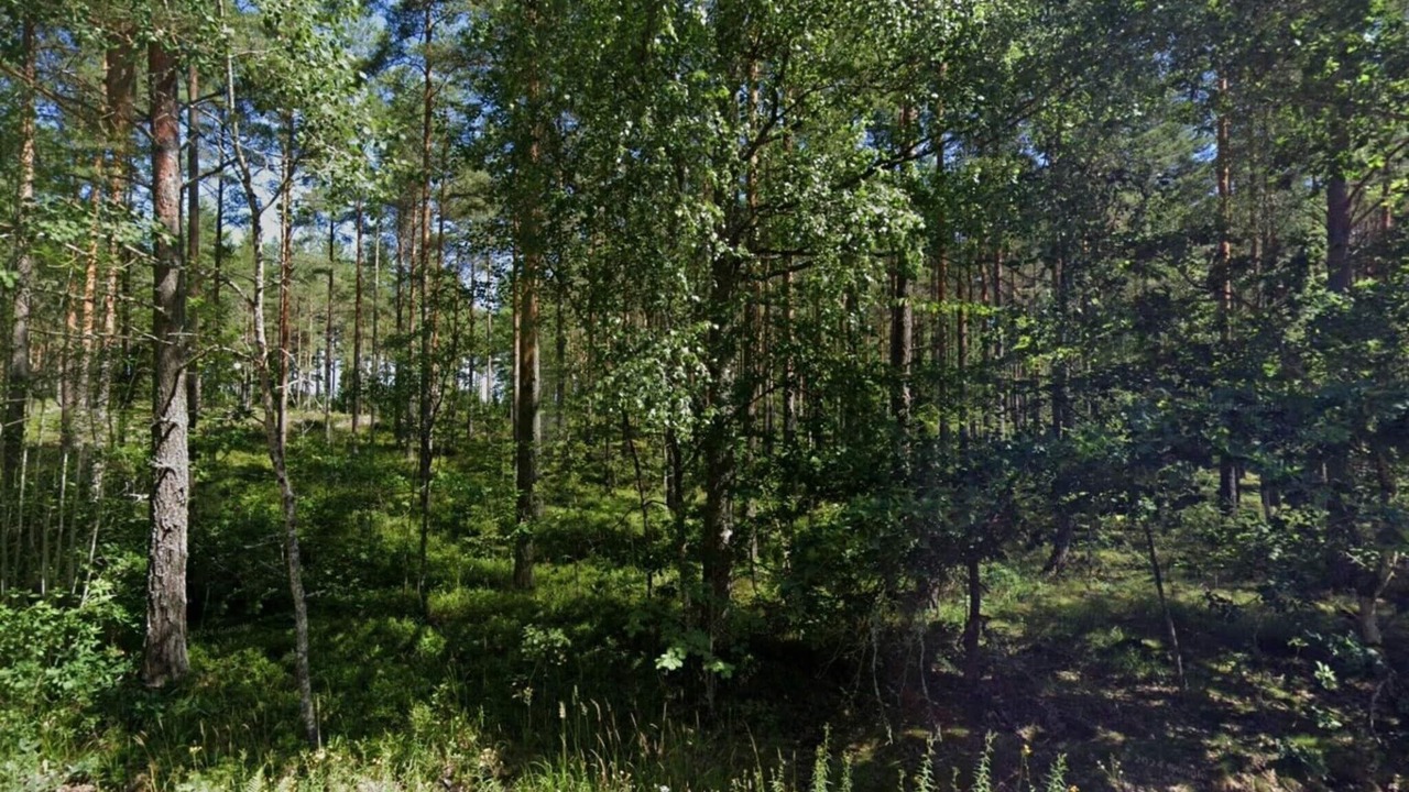 Photo of Others in Malmkoping
