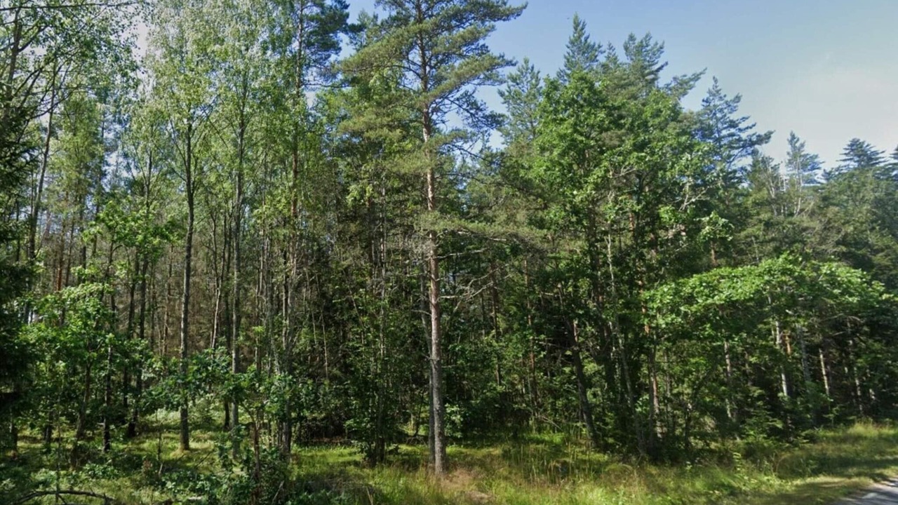 Photo of Others in Malmkoping