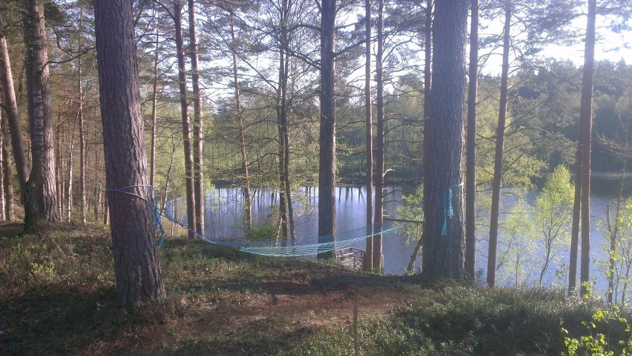 Photo of Others in Hassleholm Municipality