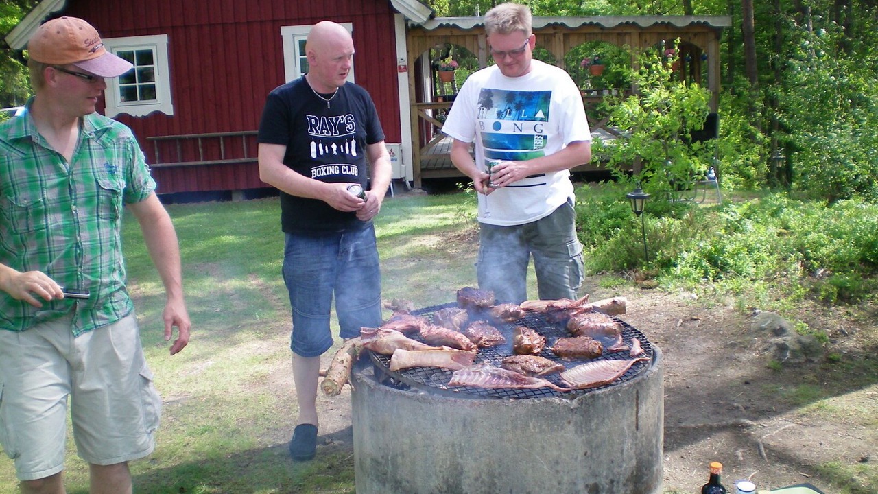 Photo of Others in Hassleholm Municipality