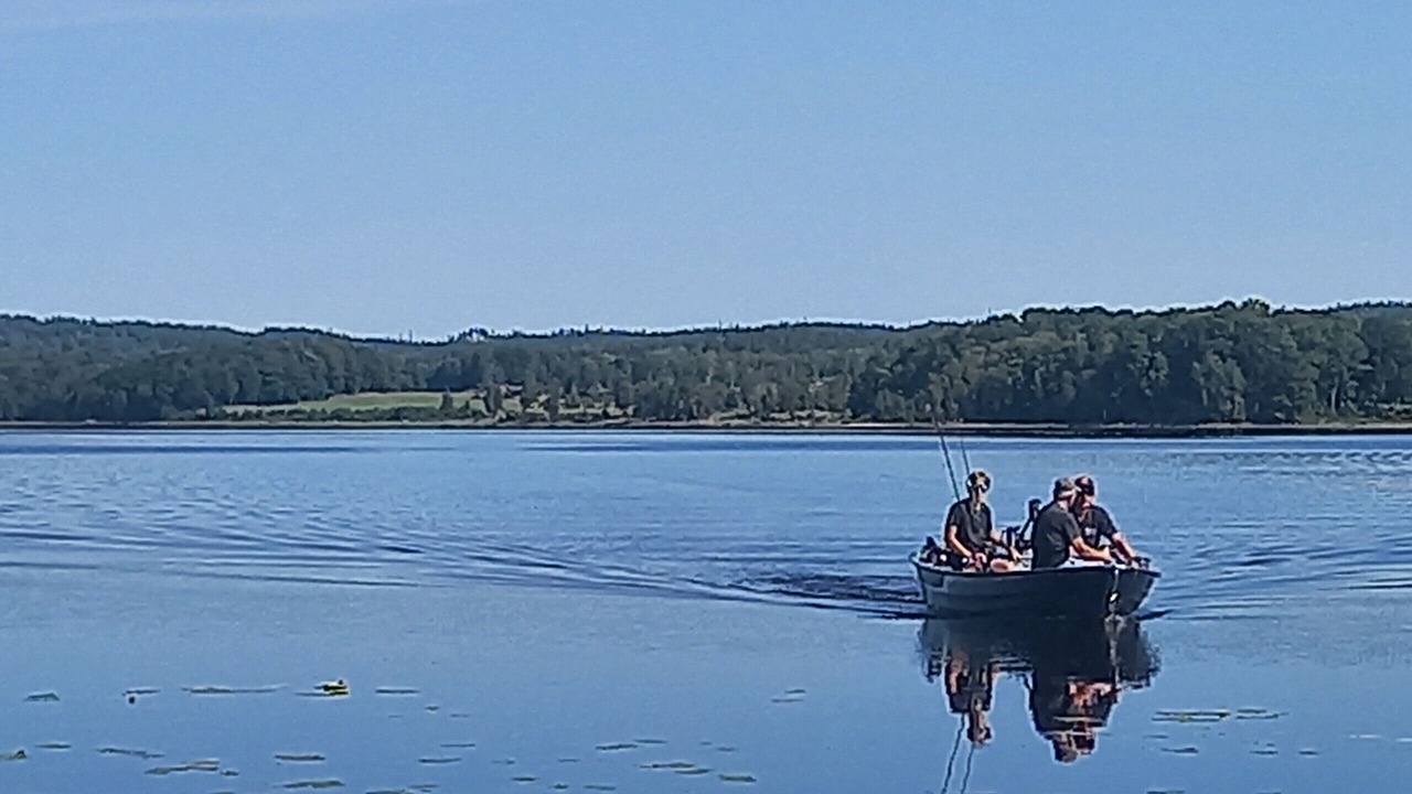 Photo of Others in Kungsater