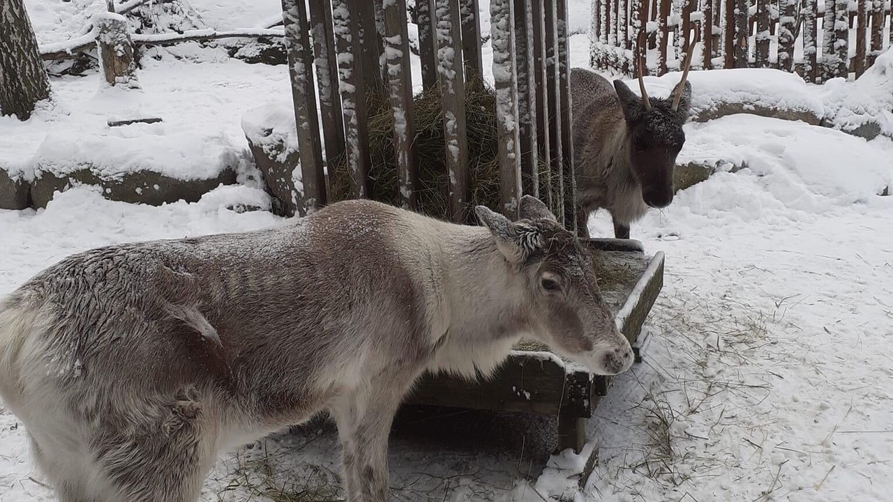 Photo of Outdoor in Nacka