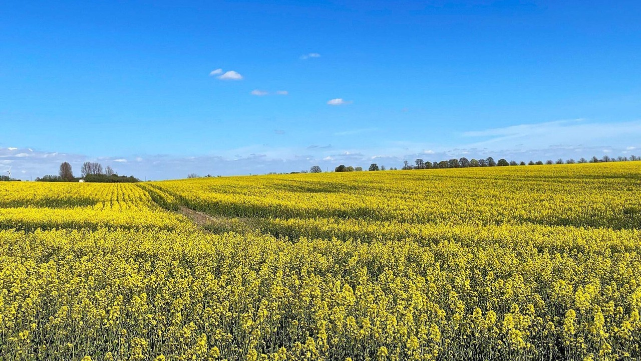 Photo of Outdoor in Loderup