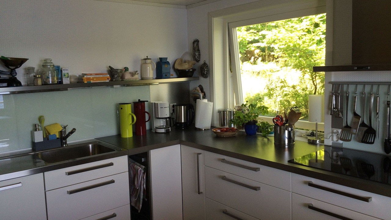 Photo of Kitchen in Fjaras