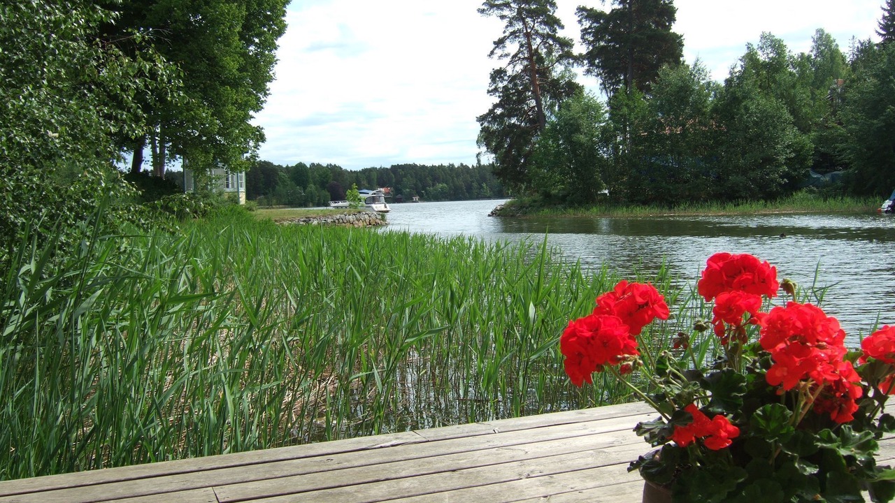 Photo of Outdoor in Boo