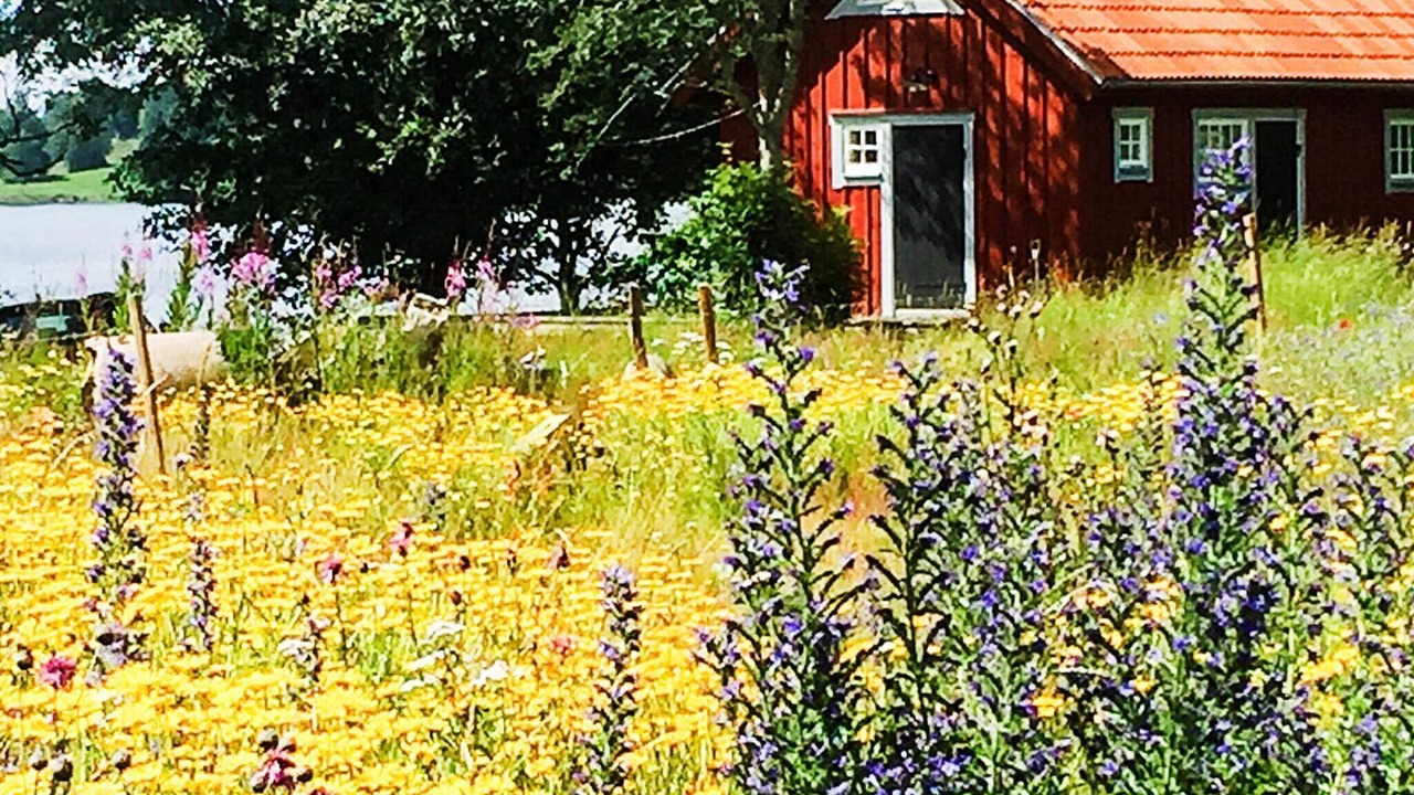 Photo of Outdoor in Tviklippan