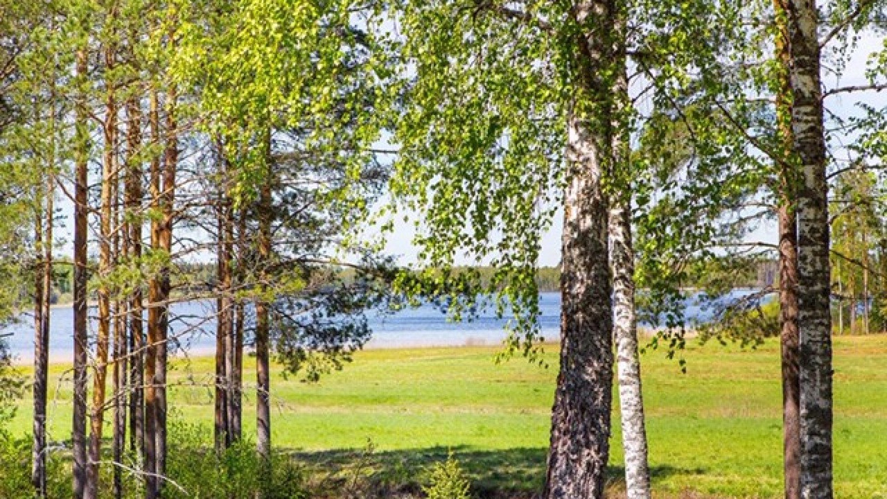 Photo of Others in Kristinehamn