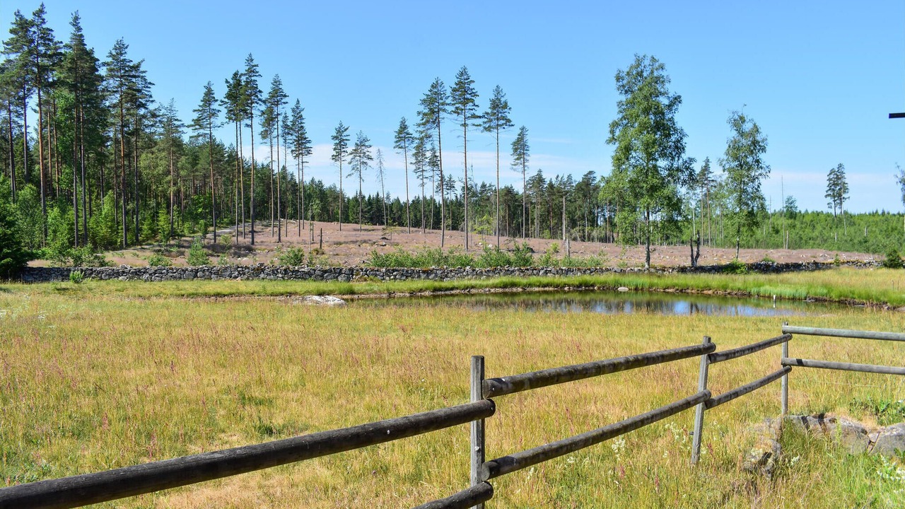 Photo of Others in Lonsboda