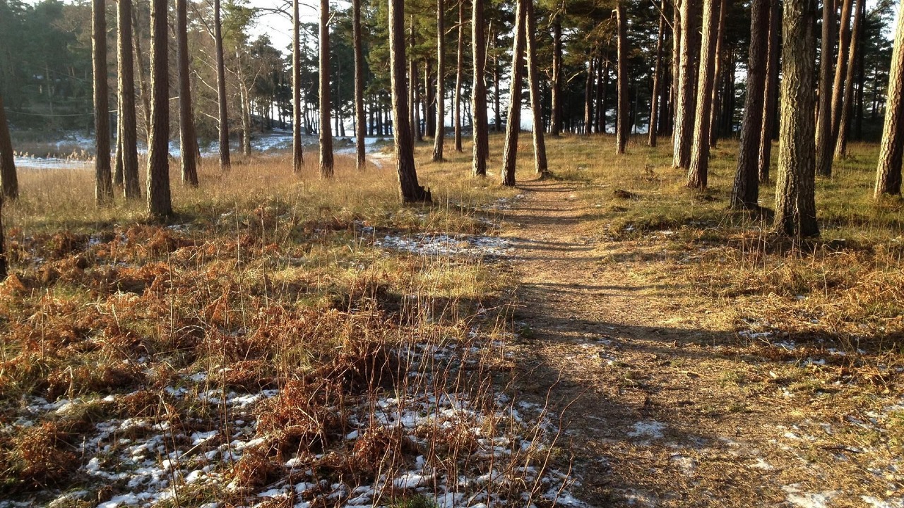 Photo of Others in Stenungsund