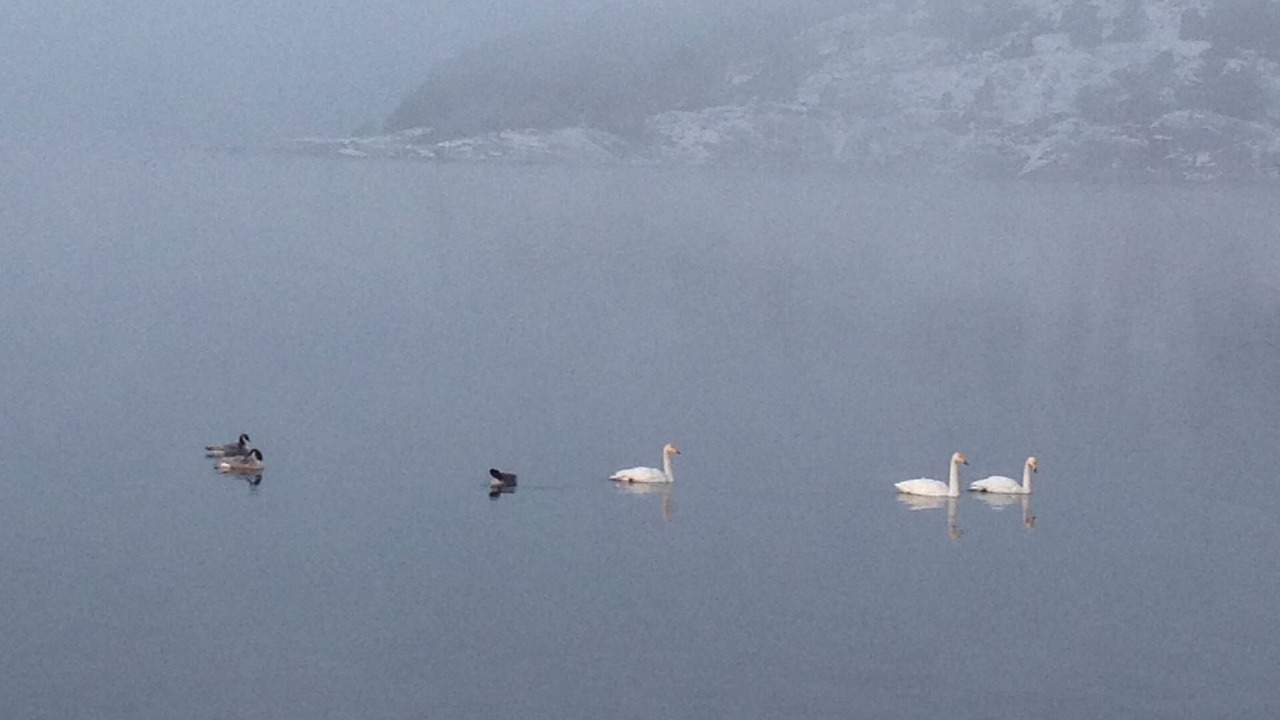 Photo of Others in Stenungsund