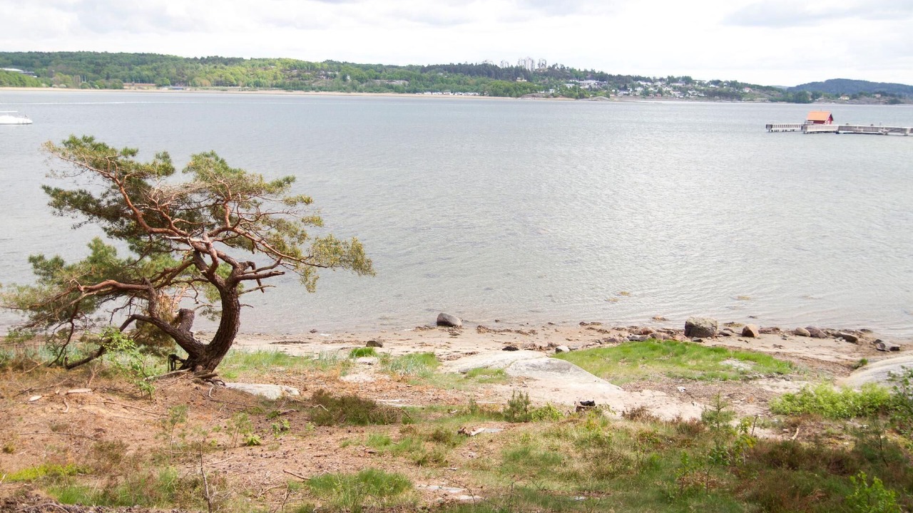 Photo of Others in Stenungsund