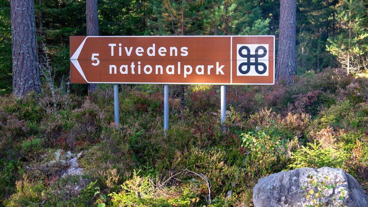 Photo of Others in Tived
