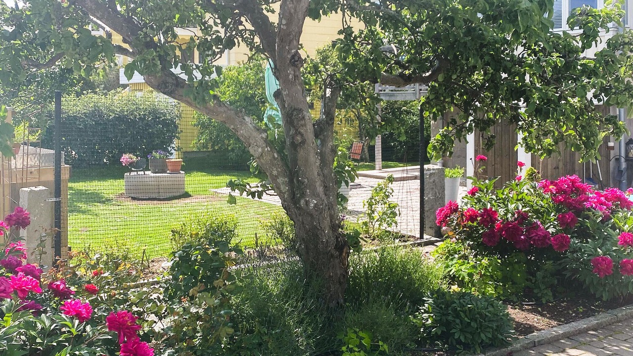 Photo of Others in Bohus-Malmon