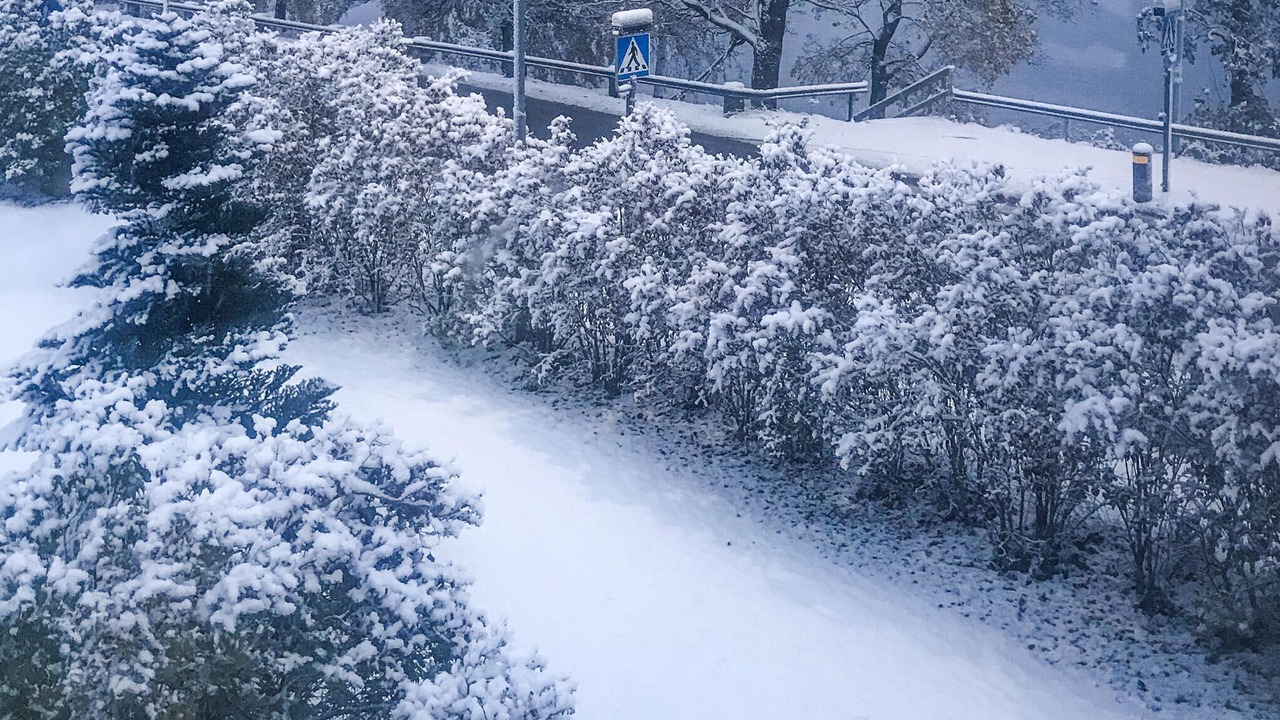 Photo of Others in Lindesberg