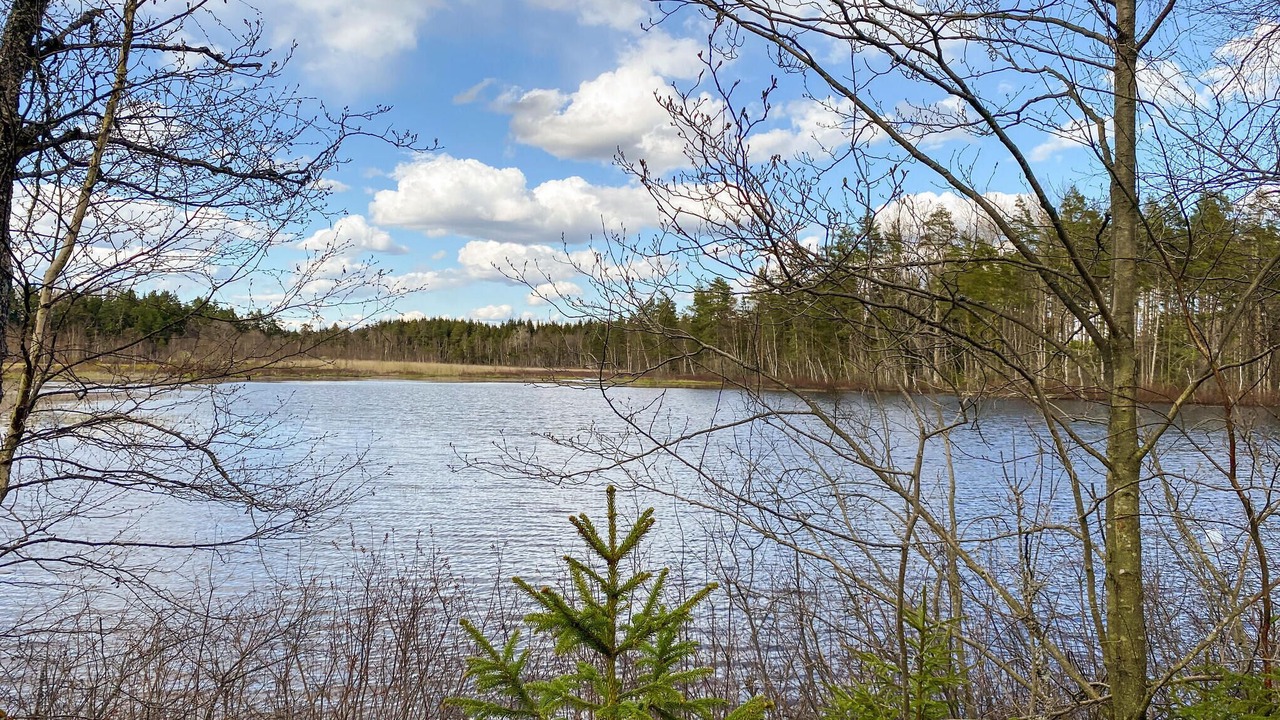 Photo of Others in Vimmerby Municipality