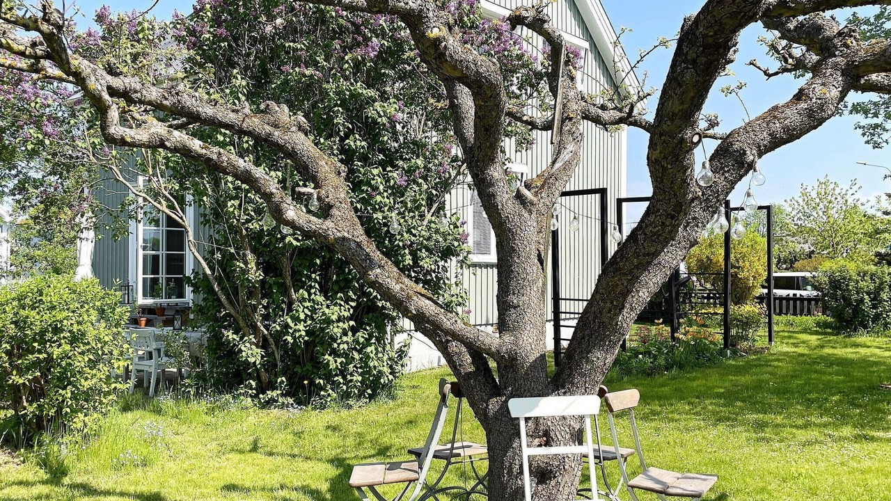 Photo of Outdoor in Odeshog