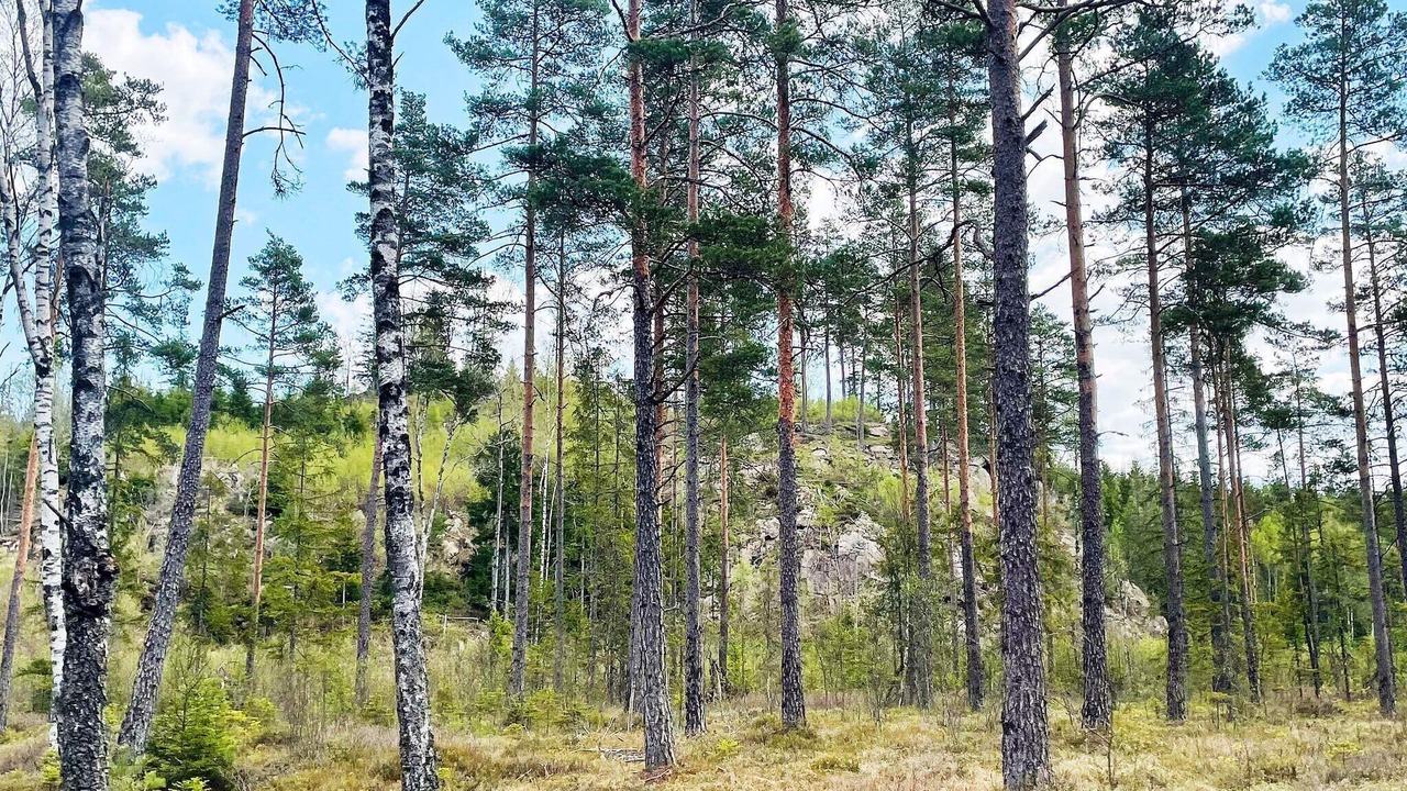 Photo of Outdoor in Gislaved Municipality