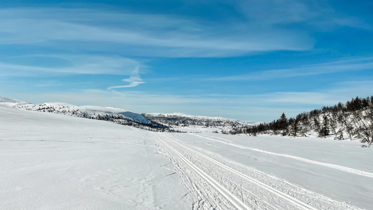 Photo of Others in Sor-Aurdal